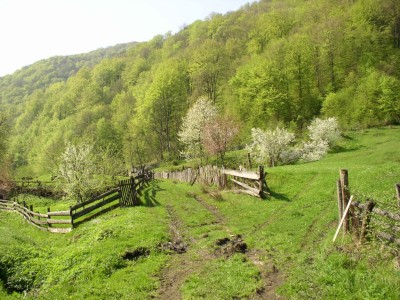 Klikni pro velk foto