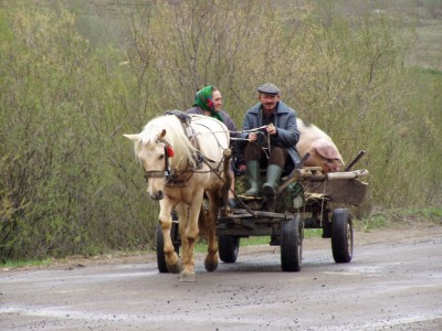 Klikni pro velk foto