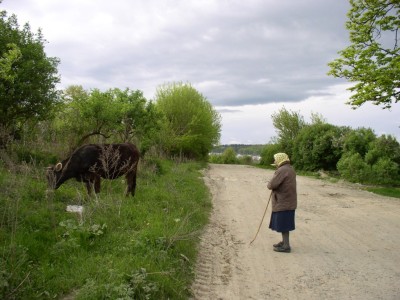 Klikni pro velk foto