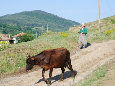 Klikni pro velk foto