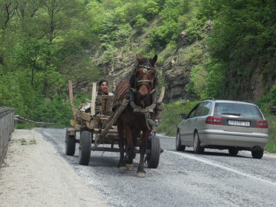 Klikni pro velk foto